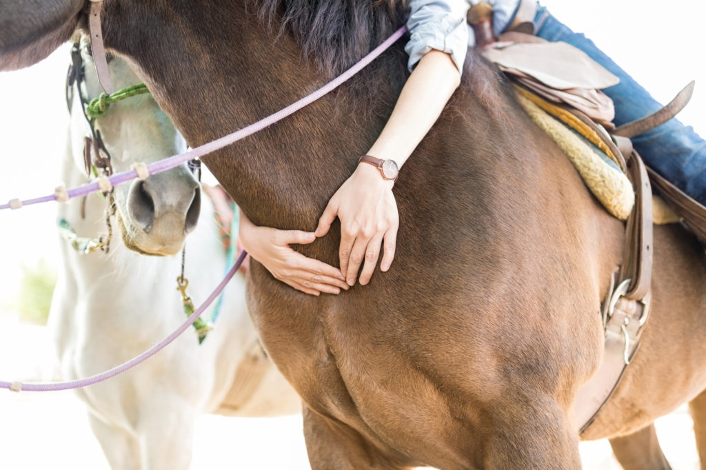 Horseback Riding, Getting Clients, and Rockstar Confidence